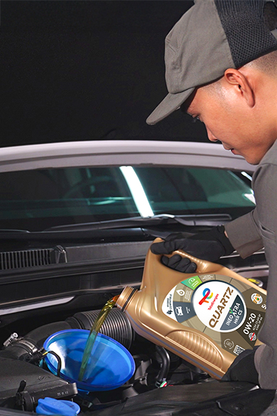 demo dịch Chăm sóc nội thất